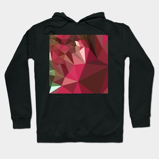 Jazzberry Jam Purple Abstract Low Polygon Background Hoodie by retrovectors